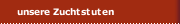 unsere Zuchtstuten