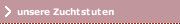 unsere Zuchtstuten